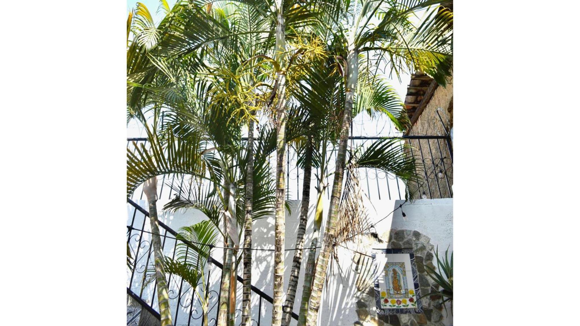 Casa Coco Hostel Santa Ana Buitenkant foto