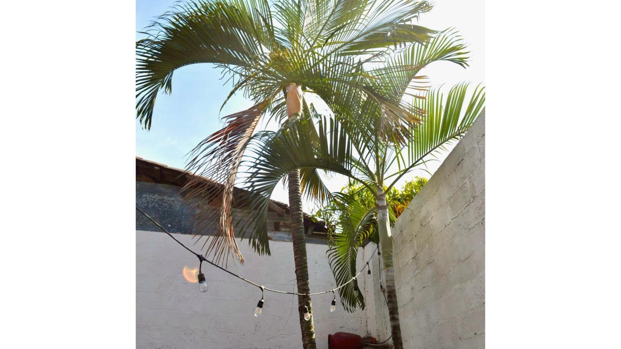 Casa Coco Hostel Santa Ana Buitenkant foto